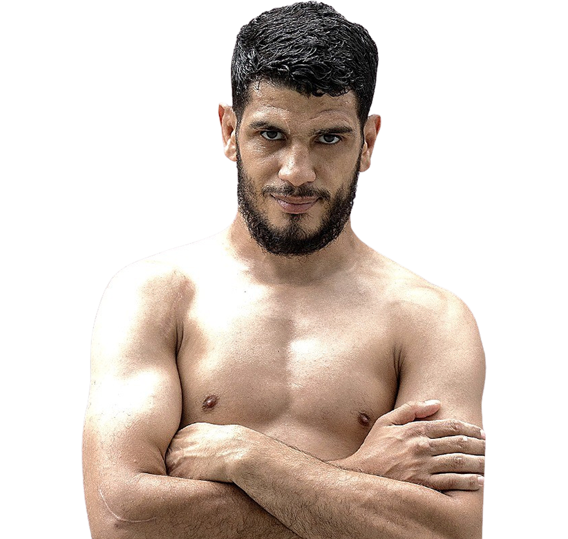 Boughanem